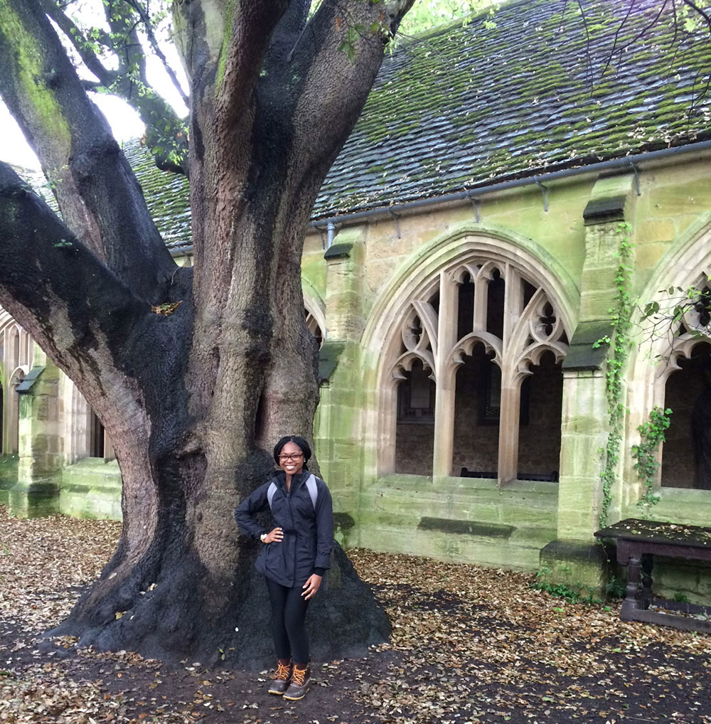 The Harry Potter Tree | Promise Abroad
