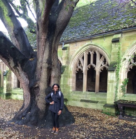 The Harry Potter Tree